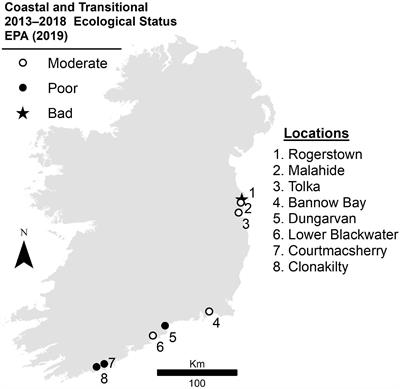 Mapping Spatial Distribution and Biomass of Intertidal Ulva Blooms Using Machine Learning and Earth Observation